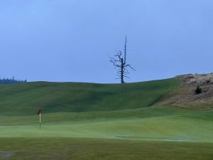 Old Macdonald 3rd Reverse 2024